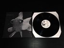 JESSE RARE UK VINYL 1998 LP OOP LEATHERFACE JAWBREAKER HOT WATER MUSIC