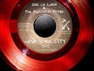 Jimi Lalumia And The Psychotic Frogs-New York City Song (CBGB)
