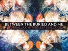 Between the Buried and Me - Hypersleep Dialogues RSD Green Record Mint