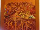 FEVER TREE For Sale - Original US LP - Garage Psych Music Machine Love