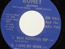HEAR Rockabilly Ep Rare 45 JIM HALL & THE RADIO PALS Rain Mountain Top/I Love m