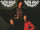 Jimi Hendrix, Are You Experienced? Vinyl, LP. New