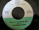 Tittyshaker Exotica 45 THE FORTUNE TELLERS camel train MM listen