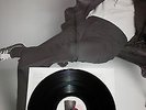 PAUL MCCARTNEY (BEATLES) MEMORY ALMOST FULL GIANT FOLD OUT VINYL ALBUM - SEALED