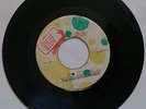 NEW ESTABLISHMENT - ROCK FORT ROCK - IRON SIDE DISC