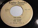 VERY RARE OHIO GARAGE 45/ THE JADES 