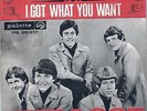 The Loot UK 67 Freakbeat garage 45 Belgian PS I got what you want LISTEN
