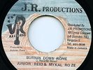 JUNIOR REID & MYKAL ROSE - BURNING DOWN ROME (KILLER DIGI) LISTEN ?