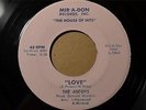 THE ASCOTS Mir-A-Don 1004 ANOTHER DAY / LOVE  - The Rare One -LISTEN