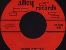 PURPLE CANTEEN Brains In My Feet  (Alley 1049) Garage fuzz psych 45 VG++
