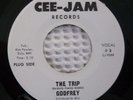 GODFREY The Trip Rare Psych Garage Promo 45 CEE-JAM NM- Godfrey's Group