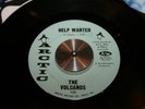 The Volcanos A Lady's Man / Help Wanted Funk Northern Soul 45 Arctic 125