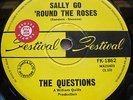 Doug Parkinson/The Questions/Hey Gyp OZ Garage R&B Sample-45/1967