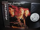 Rory Gallagher Photo - Finish Japan Orig.PROMO LP OBI WHITE LABEL NM