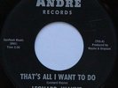 Rare Northern Soul 45 - Leonard Wayne ''That's All I Want To Do'' ANDRE mp3
