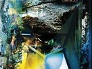 Pelican Forever Becoming Vinyl Doppel LP NEU 2013 ( Russian Circles )
