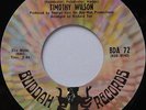 Rare Sweet Soul Crossover 45 - Timothy Wilson ''My Queen Of Hearts'' BUDDAH mp3