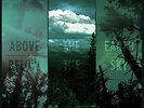 If These Trees Could Talk - Above The Earth, Below The Sky LP Green /100 NEW NM+
