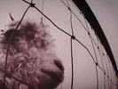 Pearl Jam VS Vinyl 180 gram remaster