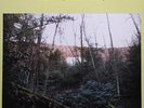 Bonnie 'Prince' Billy - Self titled new sealed LP palace records will oldham