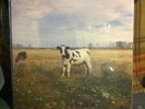 Pink Floyd Dark Side Of The Moo Lp SEALED Private Syd Barrett Hype Sticker Psych