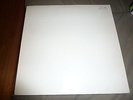 SLEATER KINNEY  Call The Doctor lp TEST PRESSING  - Chainsaw Carrie Brownstein