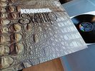 KROKODIL      - SWAMP -    MINT ARCHIVE ALBUM / TOP ZUSTAND