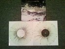 Minus The Bear Planet Of Ice 2 Lp First Pressing White w/ Silver Splatter 500