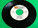 ALLISON and CALVIN TURNER 45 rpm record / Lulu 9702    (#K)