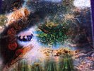 Pink Floyd-a Saucerful Of Secrets Lp