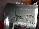 Copeland Beneath Medicine Tree Vinyl SEALED **RARE** in motion sunshine