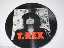 T REX PICTURE DISC LP MINT- THE SLIDER MARC ON WAX /212