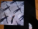 RARE MUSE Absolution Lp mint neuf  33T vinyl original 2003 TASTE