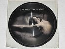 JOY DIVISION Love Will Tear Us Apart Picture Disc 7