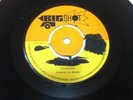 TENNORS “REGGAE GIRL” UK 7” BIGSHOT