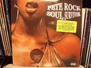 PETE ROCK - SOUL SURVIVOR (VINYL 2LP) 1998  RARE  WU-TANG + OC + THE ROOTS ?