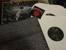 Neil Young Pearl Jam Mirror Ball With Insert