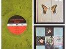 PARAMORE Brand New Eyes LP SWIRL VINYL /1300 panic at the disco fall out boy