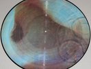 PINK FLOYD, Meddle, vinyl LP picture disc, new unplayed