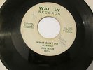 Joyce Taylor Mean Mis-treater r&b on Wal-ly  MP3
