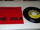 Dils 