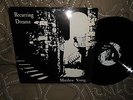 Matthew Young-Recurring Dreams(Rare Orig.US Electronic LP )Ex/M- Free Shipping