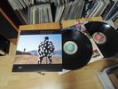 Pink Floyd - Delicate Sound Of Thunder, german LP, in MINT