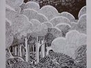 shide & acorn - same  ( 1971 ) -  new LP-release