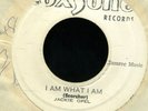 2013 JACKIE OPEL-I AM WHAT I AM-DEVIL'S BUG- SOUL BROTHERS-SKA -REGGAE 45 7