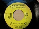 Sweet Soul Crossover 45 CANDI BARS you're the one / i believe in you CANDY STIX