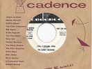EVERLY BROTHERS * 45 * ('Til) I Kissed You * 1959 #4 * DJ PROMO * Buddy Holly