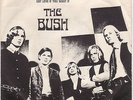 The Bush Hiback 102 '65 garage 45 Inland Emoire Ugly Things MINT- picture sleeve