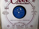 ELVIS PRESLEY A RARE FIND 78 NOT 45 OF TOO MUCH AND PLAYIN FOR KEEPS 1956