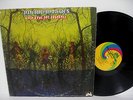 AMERICAN BLUES LP Do Their Thing (Pre-ZZ Top) original Uni 1968 Texas Psych VG